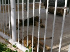 -三亚千古情景区游客中心-接待中心