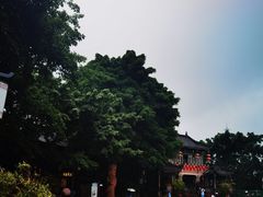 -黄龙溪古镇