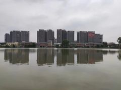 -江门古劳水乡旅游区