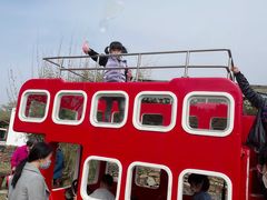-田园东方蜜桃村的田野营地