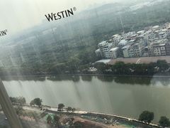 -广交会威斯汀酒店