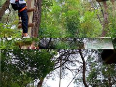 -芦仙山景区-飞越丛林探险乐园