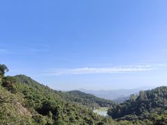 -广州白江湖森林公园