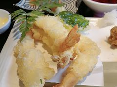 -黑松白鹿(金融街店)