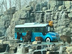 -北京野生动物园