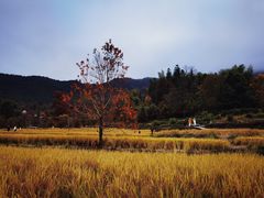 -塔川景区