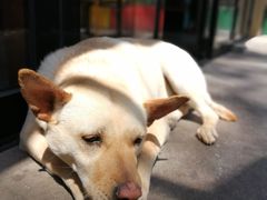 -Cactus墨西哥仙人掌餐厅