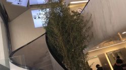 -简法造型·品牌形象店