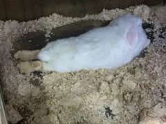 -上海大自然野生昆虫馆(东方明珠·爬宠昆虫探索中心)