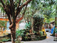 -青城甲(青城山店)