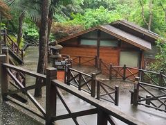 -宁海森林温泉