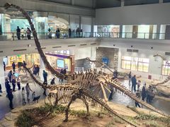 -自贡恐龙博物馆