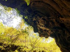 -华蓥山天意谷景区