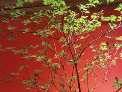 -顺承小院儿
