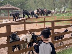 -盈香心动乐园