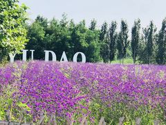 -渔岛海洋度假区