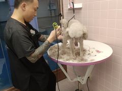 -FAELING PETS美天灵宠物(富力广场店)