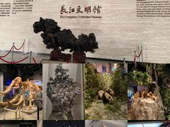 -武汉园博园(武汉自然博物馆)