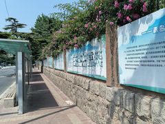 -山东省青岛第六十二中学