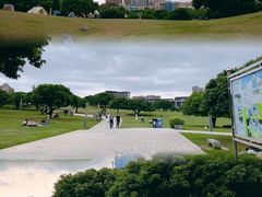-红花山公园