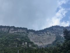 -重庆睡佛山森林公园