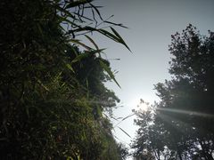 -广州市石门国家森林公园