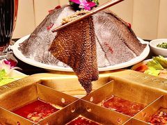 -蜀九香火锅(彩虹店)