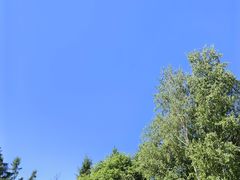 -香炉山国家森林公园