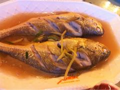 黄鱼-沈家门海鲜夜排档(东港店)