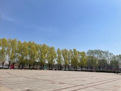 -塘沽森林公园