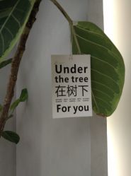 -颜蕾医美·黄金微针·水光·玻尿酸·超声炮·抗衰中心
