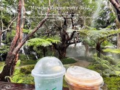 -Chom Cafe and Restaurant