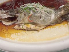 -高老庄新家宴(北斗星广场店)