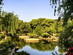 -白马涧龙池景区