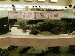 -白金汉爵大酒店(相城店)