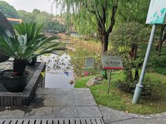 -陈家山荷花公园