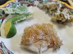 -鯛匠 HANANA