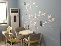 -喵的天空名猫咖啡馆·撸猫·猫舍·用品