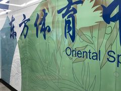 -东方体育中心(地铁站)