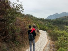 -南丫岛