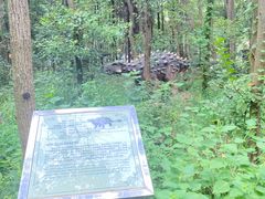 -洪湖悦兮半岛国际温泉度假村