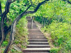 -北京西山国家森林公园