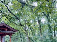 -西溪南古村落景区