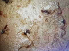 -野人牧坊Gelato(天津南开大悦城店)