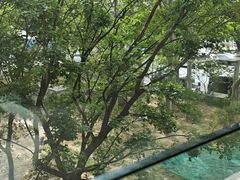 -北京威斯汀酒店