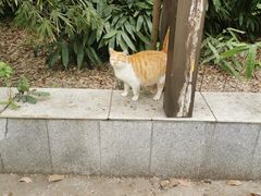 -南京航空航天大学(将军路校区)