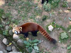 -西安秦岭野生动物园