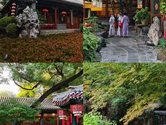 -白家大院·王府宫廷菜(苏州街店)
