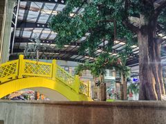 -南宫温泉水世界