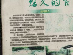 -会仙湿地